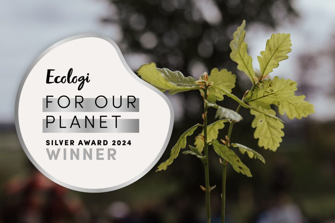 For Our Planet Silver Award